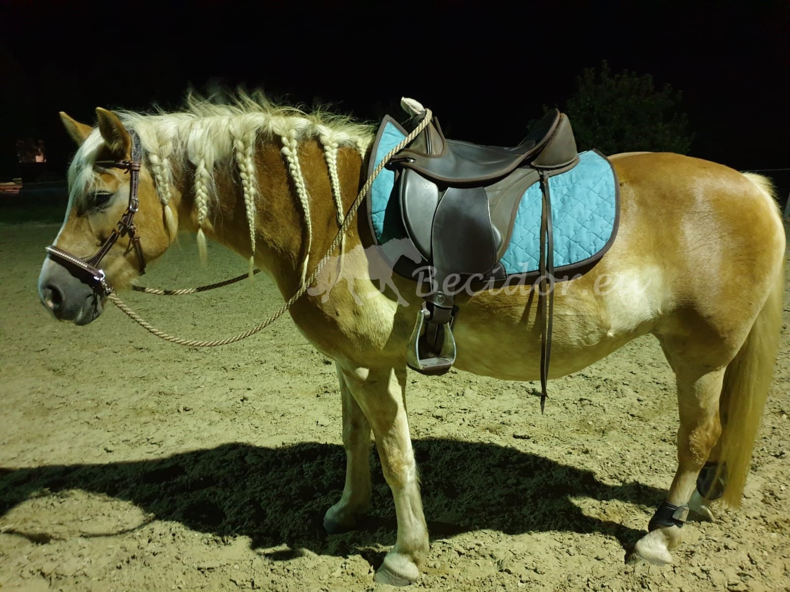 Squareskirt western pad for VS saddle with inlays