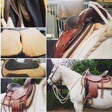 Physio western Pad mit Einlagen