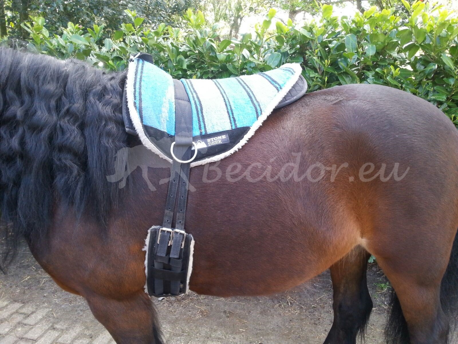 Halfpad met inlages