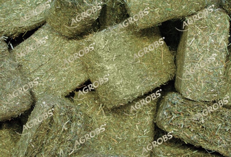 Pre Alpin Compact - Haychunks  Ballaststoffe 15kg