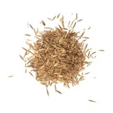 Pre Alpin Saatgut grass seed horse pasture 10kg