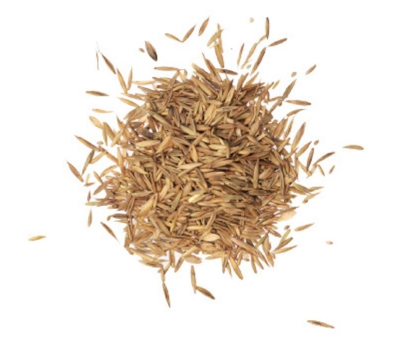 Pre Alpin Saatgut Grassamen Pferdeweide 10kg