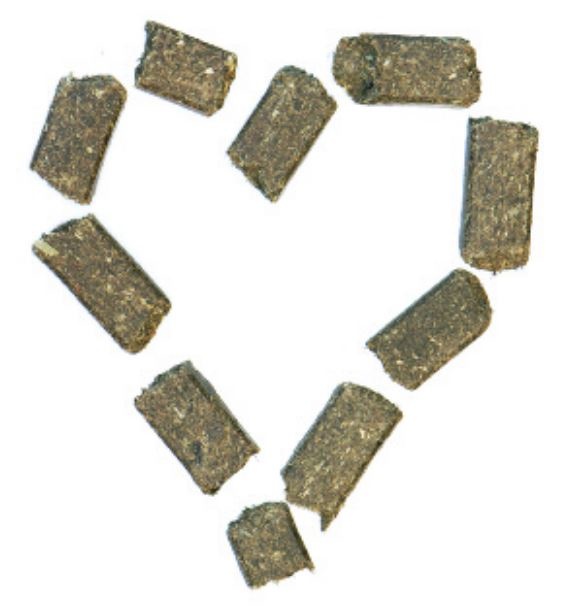 Wiesenbussi Horse candy healthy