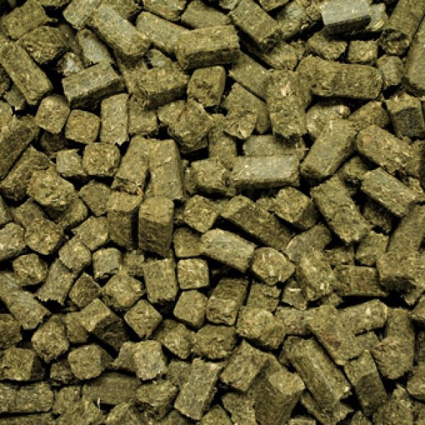 Wiesenbussi Horse candy healthy