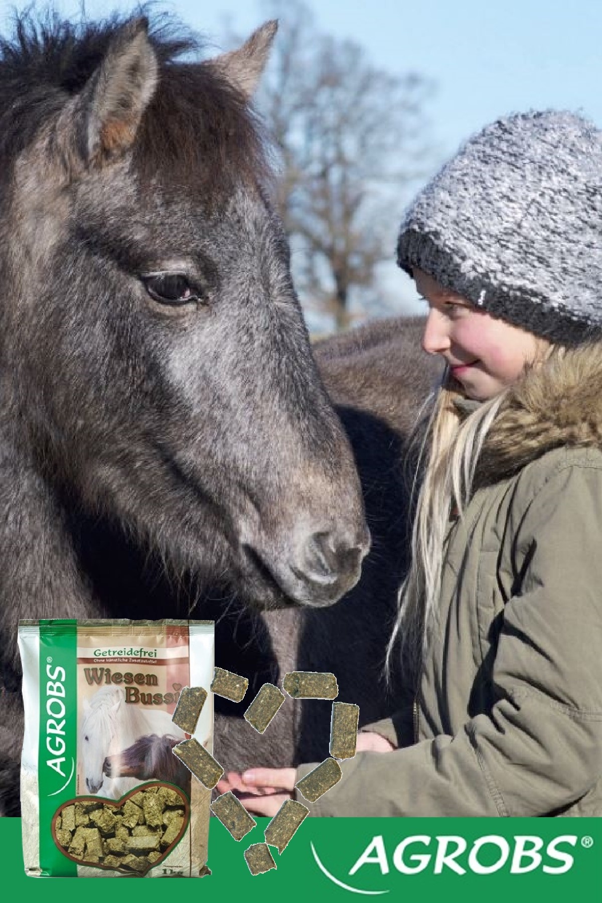 Wiesenbussi Pferdesüßigkeiten gesund