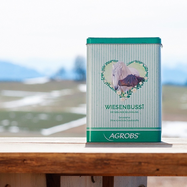 Pferdebonbon Aufbewahrungsdose Bussi Box