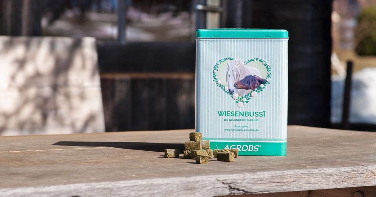 Pferdebonbon Aufbewahrungsdose Bussi Box