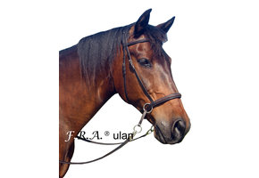 Ulan Crossover bitless Zaumzeug