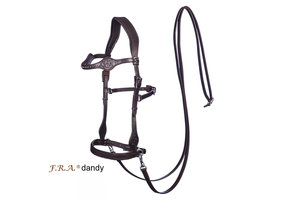 Dandy sidepull western bitless bridle