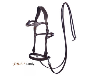 Dandy Sidepull Western bitless Zaumzeug