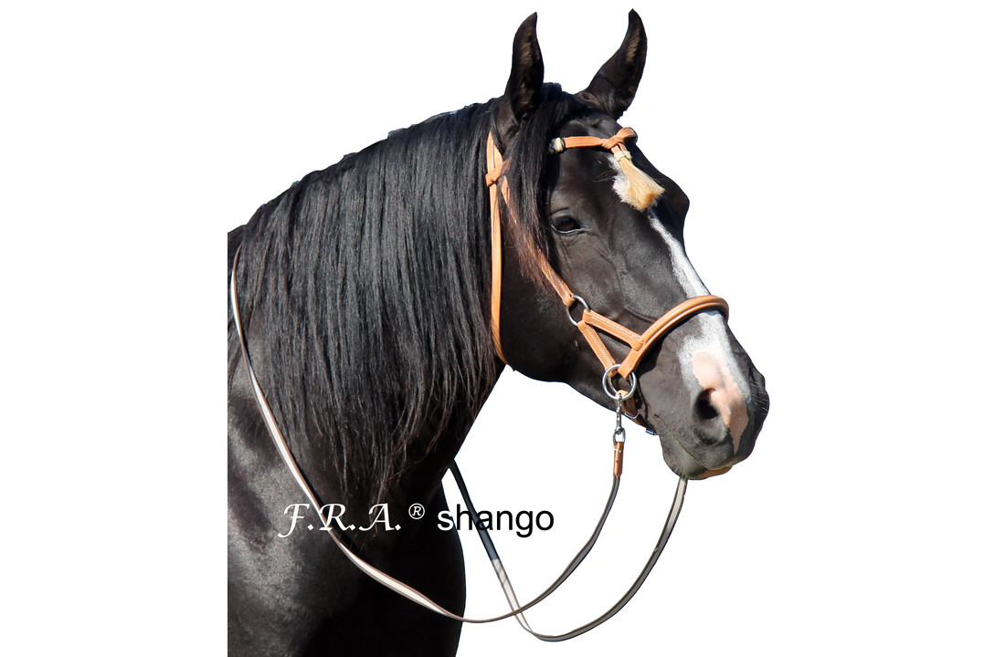 Shango sidepull bitlooshoofdstel westernstijl
