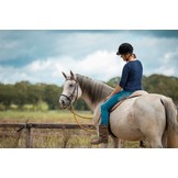 Pariba sidepull bitless bridle leather