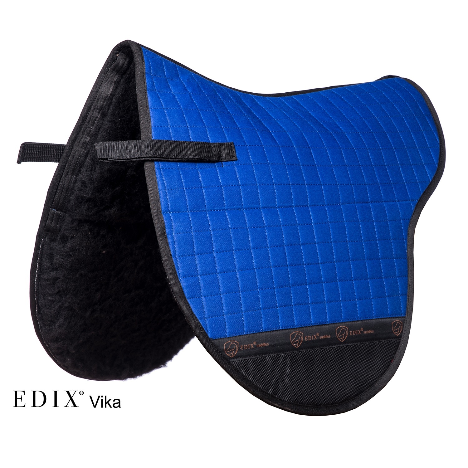 Vika baumloses Krötenpony anatomisch