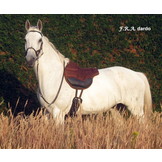 Dardo barebackpad non-slip material