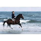 Macon Extra barebackpad lamsvel en kniewrongen