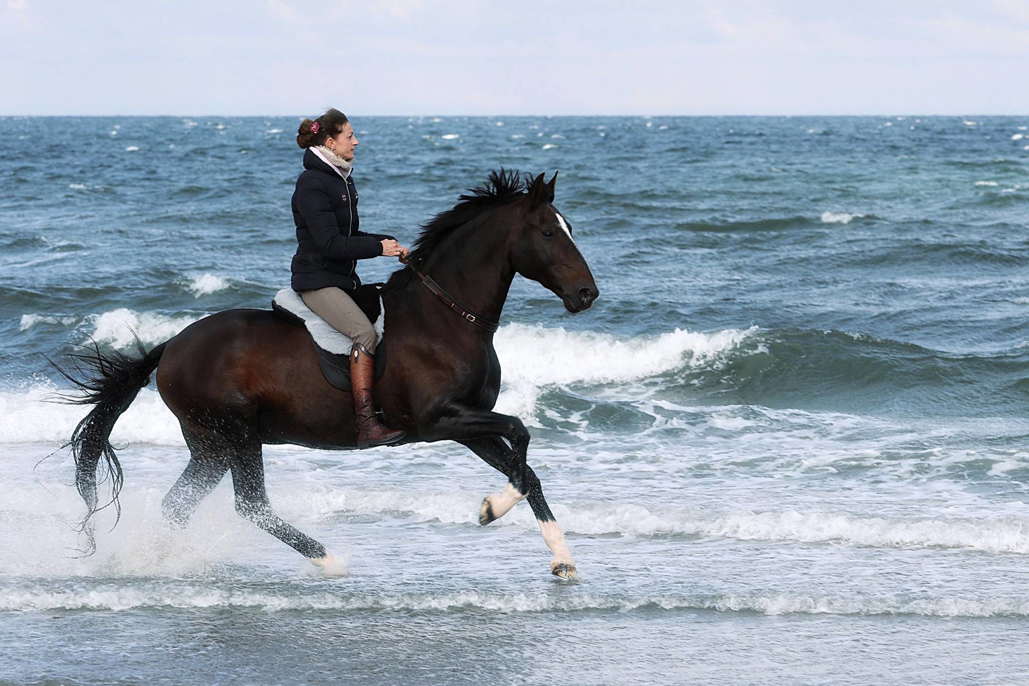 Macon Extra barebackpad Lammfell und Knierollen