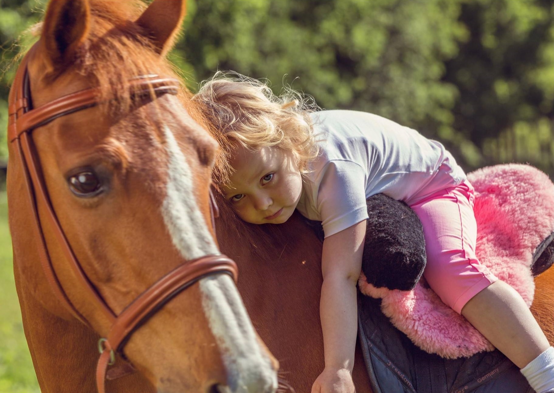 Macon Extra barebackpad lamsvel en kniewrongen