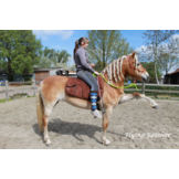 Markus rijschabrack barebackpad