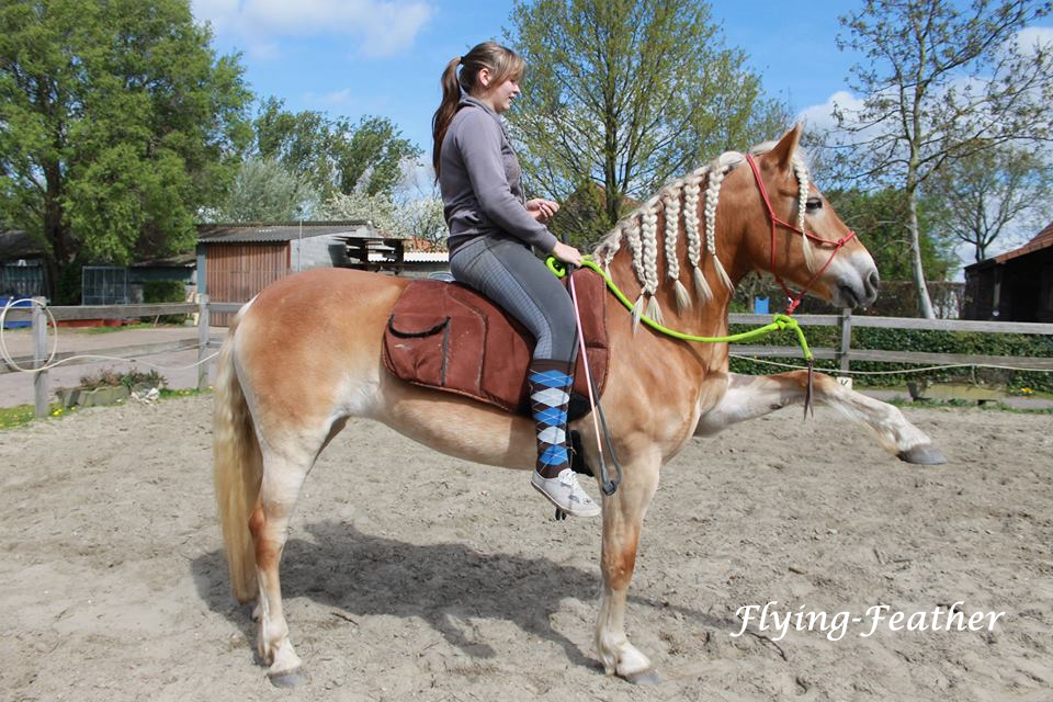 Markus rijschabrack barebackpad