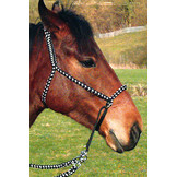 Bitless bridle cross chin full
