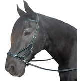 Sidepull bitless Zaumzeug Flandy Leder