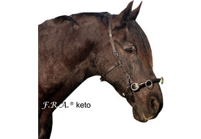 Mewi kingekruist bitlooshoofdstel