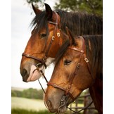 Soft Feel Barok deluxe hoofdstel leer