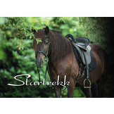 Startrekk Comfort Englisch zadel leer