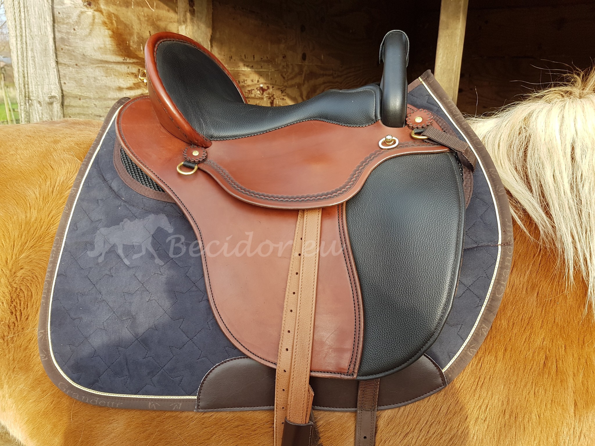 Startrekk Comfort Englischer Sattel Leder