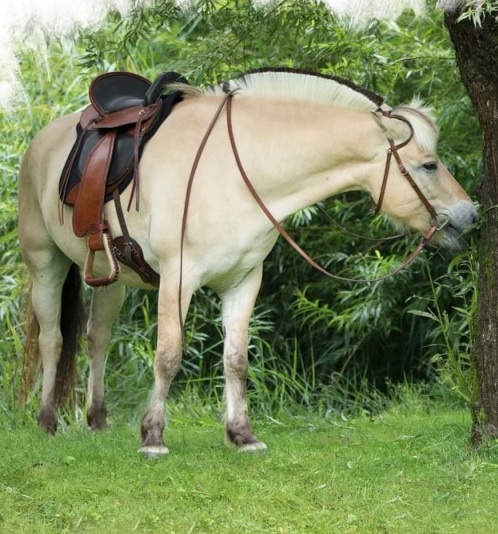 Startrekk Comfort Westernsattel Leder