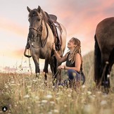 Startrekk Comfort Western zadel leer