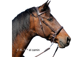 El Camin cross-over bitless bride