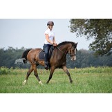 Startrekk Dressage treeless saddle leather