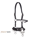 Aram hackamore Zaumzeug Leder