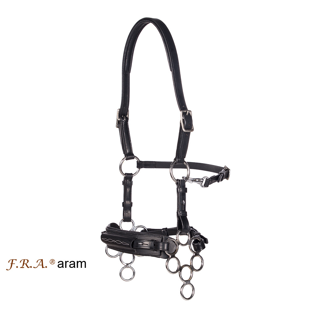 Aram hackamore hoofdstel leer