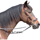 Aram hackamore Zaumzeug Leder