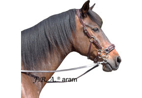 Aram hackamore hoofdstel