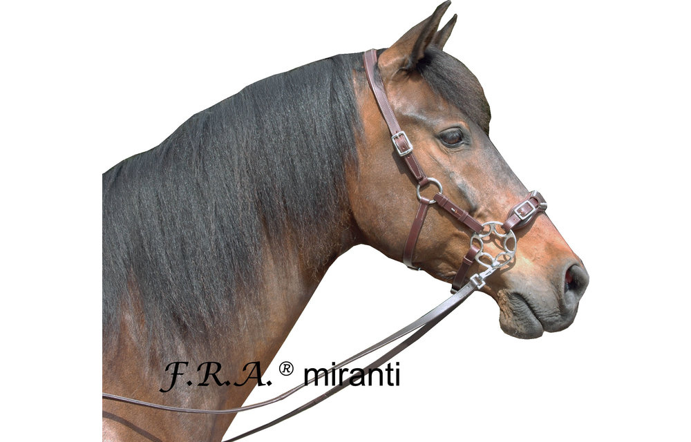 Miranti hackamore hoofdstel
