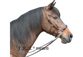 Miranti hackamore Zaumzeug