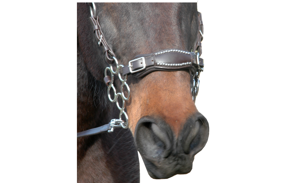 Miranti hackamore hoofdstel
