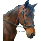 Lami chin cross bitless bridle good release