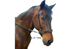 Lami chin cross bitless bridle