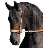 Lami chin cross bitless bridle good release