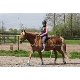 Stacy Westfall barebackpad with gel