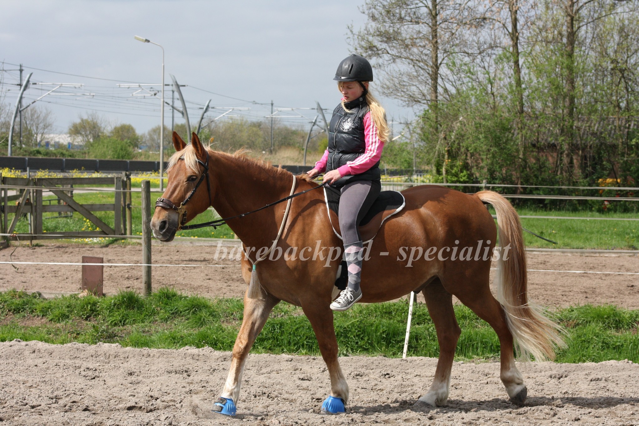 Stacy Westfall barebackpad met gel