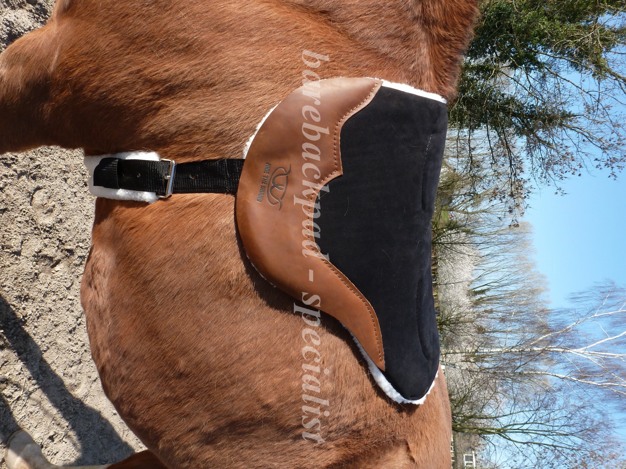 Stacy Westfall barebackpad met gel