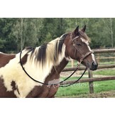 Trail Zügel Bambus 3 Meter