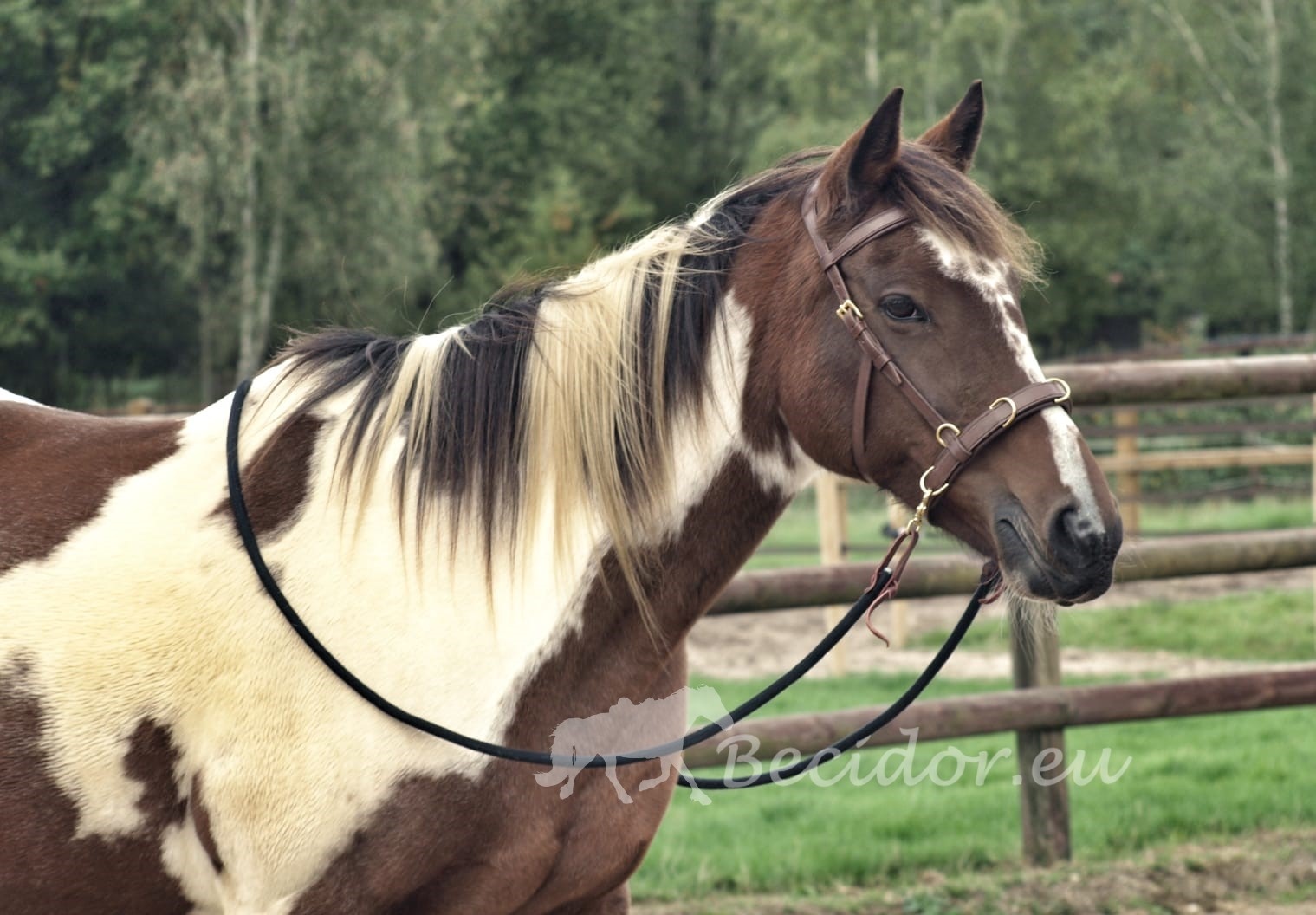 Trail touwteugel bamboe 3 meter