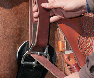 Airflex Smart westernsingel high comfort