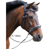 Abbey kaakgekruist bitlooshoofdstel, chique look